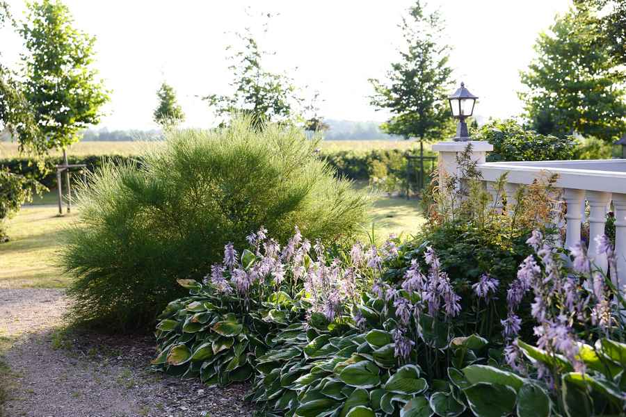 Frisch angelegte Gartenbepflanzung
