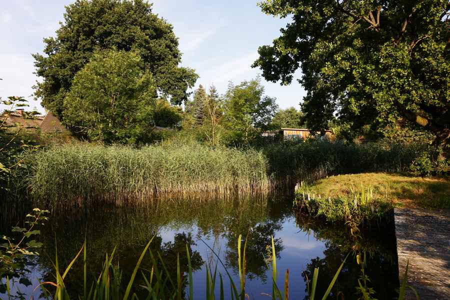Gepflegte Grünanlage mit Teich